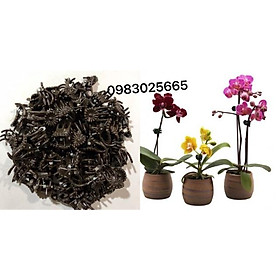 Mua Kẹp bướm cố định hoa lan 50 cái