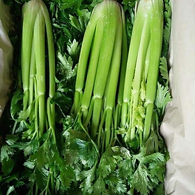 [Chỉ giao HN]Cần Tây ĐL -1kg