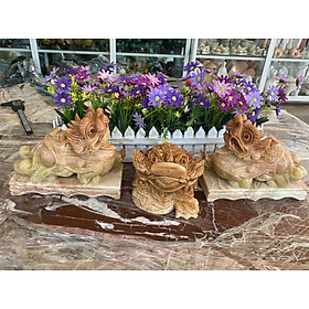 Mua Bộ combo Tỳ Hưu dài 20cm và Tượng Cóc Ba Chân  Cóc Ngậm Tiền  Thiềm Thừ phong thủy dài 15cm đá cẩm thạch vân gỗ