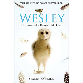Hình ảnh [Hàng thanh lý miễn đổi trả] Wesley: The Story of a Remarkable Owl