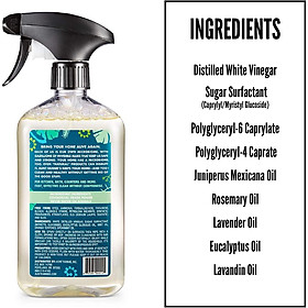 DUNG DỊCH GỐC GIẤM - XỊT VỆ SINH ĐA DỤNG Aunt Fannie's Cleaning Vinegar - Multipurpose Surface Spray Cleaner, 500ml (16.