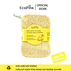 Mua Miếng rửa chén xơ mướp ECOPINE hình chữ nhật size S