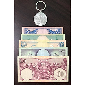 Tiền cổ thế giới, sét 5 tờ Indonesia in hình chim cực đẹp (tặng kèm móc khóa Bitcoin)