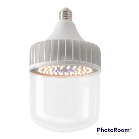 Mua Đèn LED Trồng Cây và Quang Hợp Cho Cây Trong Nhà  Đủ Phổ Như Ánh Sáng Tự Nhiên  Chính Hãng Rạng Đông  Bảo Hành 2 Năm
