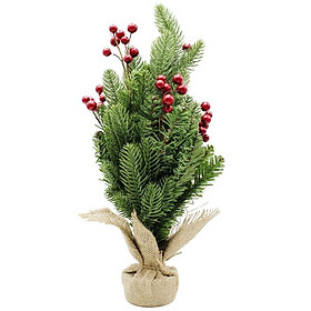Mua Cây Thông Mini Gắn Trái Đỏ 45cm - Chaang Chiia LP-TSE-45CM