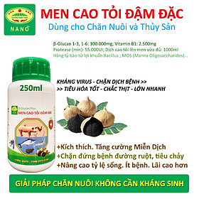 VƯỜN SINH THÁI - Dịch Men Cao Tỏi đậm đặc - Chai 1 lít