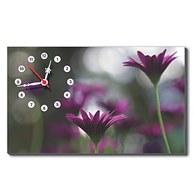 Đồng hồ Dyvina B1525-60