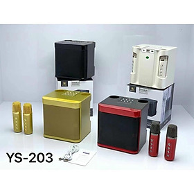 Mua Loa xách tay du lịch bluetooth karaoke Su-Yosd YS-203 Hiệu ứng đổi giọng  điều chỉnh echo  reverb  effect