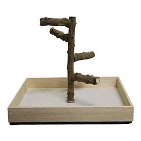 Bird Stand Tabletop, Portable Perch Stand, Parrot Play Stand Perches for Small Medium Parrot