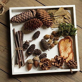 40x Dried Pine Cones Acorns Christmas Decorations Craft Home Table Ornaments