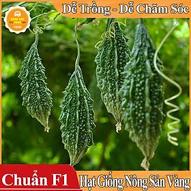 Hạt giống Khổ Qua Rừng ( Gói 10 hạt ) - Nông Sản Vàng