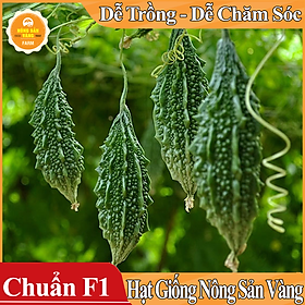 Mua Hạt giống Khổ Qua Rừng ( Gói 10 hạt ) - Nông Sản Vàng