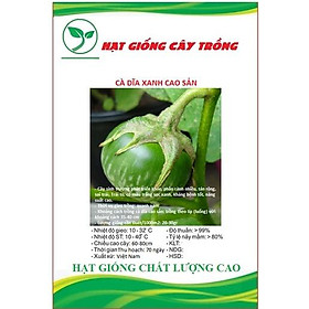 Hạt Giống Cà Dĩa Cao Sản ( Cà Bát Da Ếch ) CT265 - Gói 0.5gram