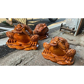 Mua Cóc thiềm thừ trang trí phong thủy hút tài lộc thịnh vương may nắm bằng gỗ hương đá kt 30×23×20cm
