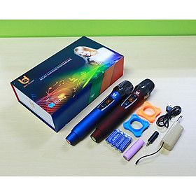 Mua Micro Không Dây Karaoke B&D W301  2 Micro Tần Số UHF  Chuyên Dành Cho Mọi Loa Kéo  Âm Ly  ...- nhập khẩu
