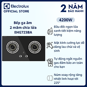 Mua  Free Giao lắp  Bếp ga âm Electrolux EHG723BA 2 mâm chia lửa 78cm - Tiết kiệm năng lượng  ngắt  kiểm soát ngọn lửa an toàn  núm vặn xoay rộng  Hàng chính hãng 