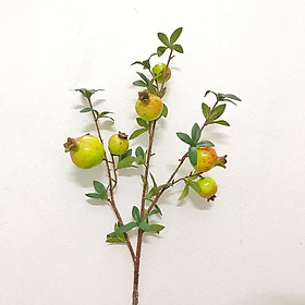 Mua Hoa Giả - Cành Lựu giả 80cm trang trí nhà cửa sang trọng  mang lại sự may mắn