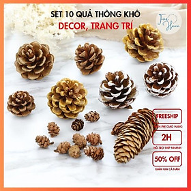 SET 10 QUẢ THÔNGQuả Thông Khô Decor, Trang Trí Nhà Cửa, Đạo Cụ Chụp Ảnh