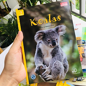 Koalas - Leveled Reader with Downloadable Audio