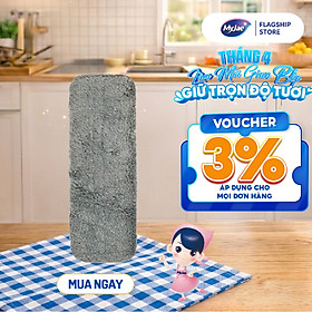 Bông lau thay thế cho cây lau kính MyJae