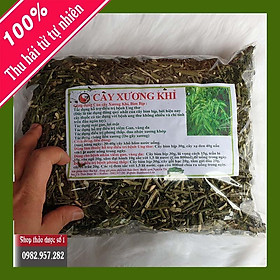 Cây Bìm Bịp,Xương Khỉ, Mảng Cộng Hỗ Trợ Điều Trị Ung Thư - 1kg CTY Thảo Dược Số 1