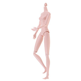 16 Khớp 1/6 Búp Bê Nude Phần Cơ Thể Cho 28 Cm Búp Bê Cơ Thể Tùy Chỉnh Trắng