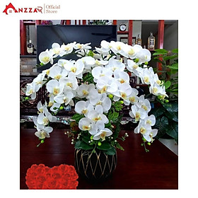 Mua Chậu Hoa Giả Hoa Lan Hồ Điệp Cao Su Size To Cao Cấp Trang Trí Nhà Cửa  Nhà Hàng  Khách Sạn Sang Trọng