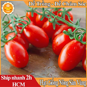 Hạt Giống Cà Chua Cherry Đỏ,Loại Quả Giàu Vitamin A, C và K Rất Tốt Cho Sức Khỏe, Trồng Được Quanh Năm (Gói 20 Hạt) - Nông Sản Vàng