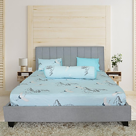 Bộ drap gối cotton phối màu Hometex