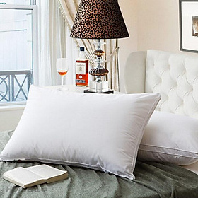 Mua RUỘT GỐI NẰM 40X60 - GDHN Loại Tốt