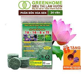 Phân Bón Hoa Sen Greenhome, Vỉ 24 Viên, Cây Thuỷ Sinh, Ngập Nước, Cho Hoa To, Hoa Đậm Màu, Lâu Tàn, Tốt Lá - PHÂN SEN 24 VIÊN