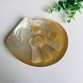 Mua Đĩa trai sác vàng 14cm  Đĩa Đựng Trứng Cá Hồi  Hoa Quả  Tặng Kèm Thìa Trai  Phụ Kiện Bàn Ăn  Chụp Ảnh Decor