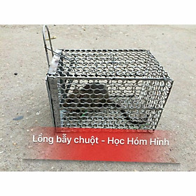 Mua Lồng bẫy chuột nhăt  Chuột Cống
