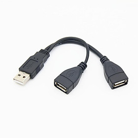 Bộ chia USB 2.0 SHELLTER Y Cáp 1 nam đến 2 Nữ bộ chuyển đổi bộ chuyển đổi nguồn điện dây cho PC cho PC Data Data Transming Sạc Cáp: Đen