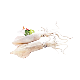 Mực Ống Loại 1 làm sạch 500g