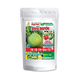 Phân bón chuyên bưởi NPK 19-19-19+Bo+TE 1kg