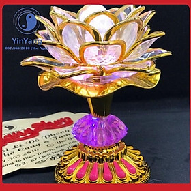 Mua Đèn tụng kinh - đài tụng kinh (có đèn)