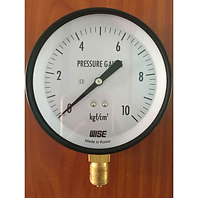 Mua Dụng cụ đo áp suất P110-100A - dãy đo Kgf/cm2