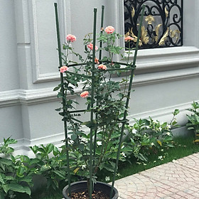 COMBO 2 KHUNG TRỒNG CÂY HÌNH TỨ GIÁC làm từ ống tre thép bọc nhựa IBO và thanh liên kết Sapoto - Dùng làm khung, giàn cho hoa hồng leo, cây hoa leo