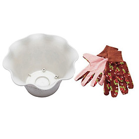 Combo chậu hoa viola trắng 26cm + găng tay bảo hộ, làm vườn chống trượt nội địa Nhật Bản
