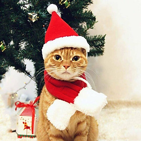 Mũ Giáng sinh với khăn quàng cổ Giáng sinh cho chó mèo trò chuyện Giáng sinh với mũ: đường kính 10cm, chiều cao 17cm, tháp cổ 38 đến 48cm, khăn quàng cổ: chiều dài trên chiều rộng 505cm