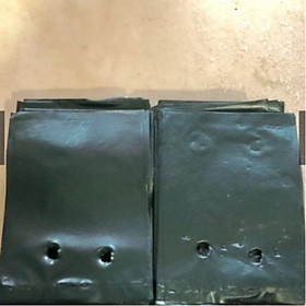 5kg TÚI BẦU ƯƠM CÂY GIỐNG (8 x 11cm)