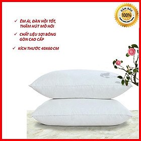 Mua 1 ruột gối trắng - Ruột gối hơi cao cấp 40x60