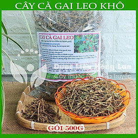 Cây Cà Gai Leo khô loại 1 đóng gói 500g