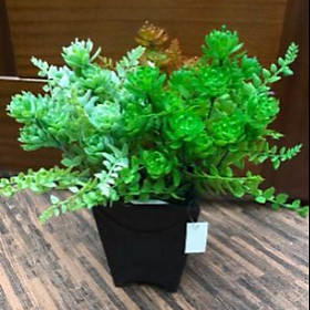 Mua Cụm Sen Đá Nhựa Cao 31cm - Cây giả