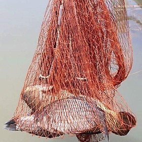 Chài bắt cá 2.5kg bung 5m siêu nhậy hàng loại 1