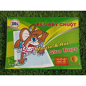  10 miếng bẫy ( dính ) chuột Đại Lộc