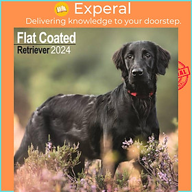 Sách - Flatcoated Retriever Calendar 2024  Square Dog Breed Wall Calendar - 16 Month by  (UK edition, paperback)