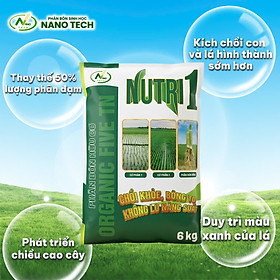 NUTRI 1 – Phân Bón Dạng Viên Thay Thế 50% Lượng Phân Đạm, Giúp Tiết Kiệm Chi Phí