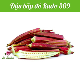 Hạt giống Đậu Bắp Đỏ Rado 309 gói 5gr - NĂNG SUẤT CAO